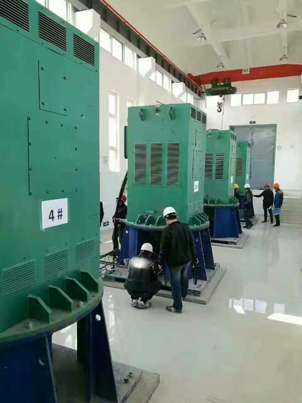 YKK800-10某污水处理厂使用我厂的立式高压电机安装现场